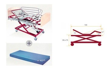 Alquiler cama articulada carro elevador